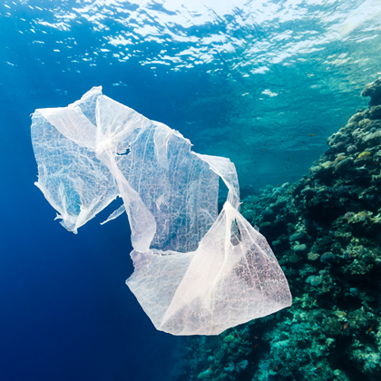 Plastic Bags in the ocean